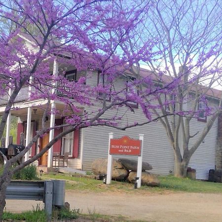 Bliss Point Farm And B&B, Llc Earlysville ภายนอก รูปภาพ