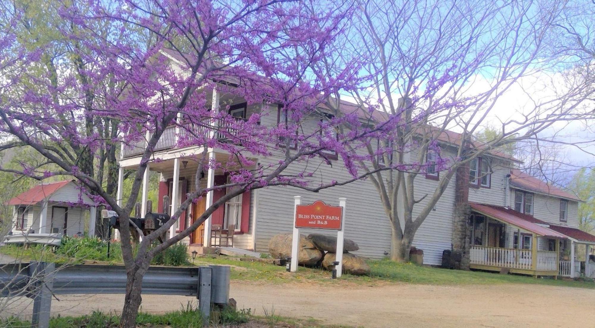Bliss Point Farm And B&B, Llc Earlysville ภายนอก รูปภาพ